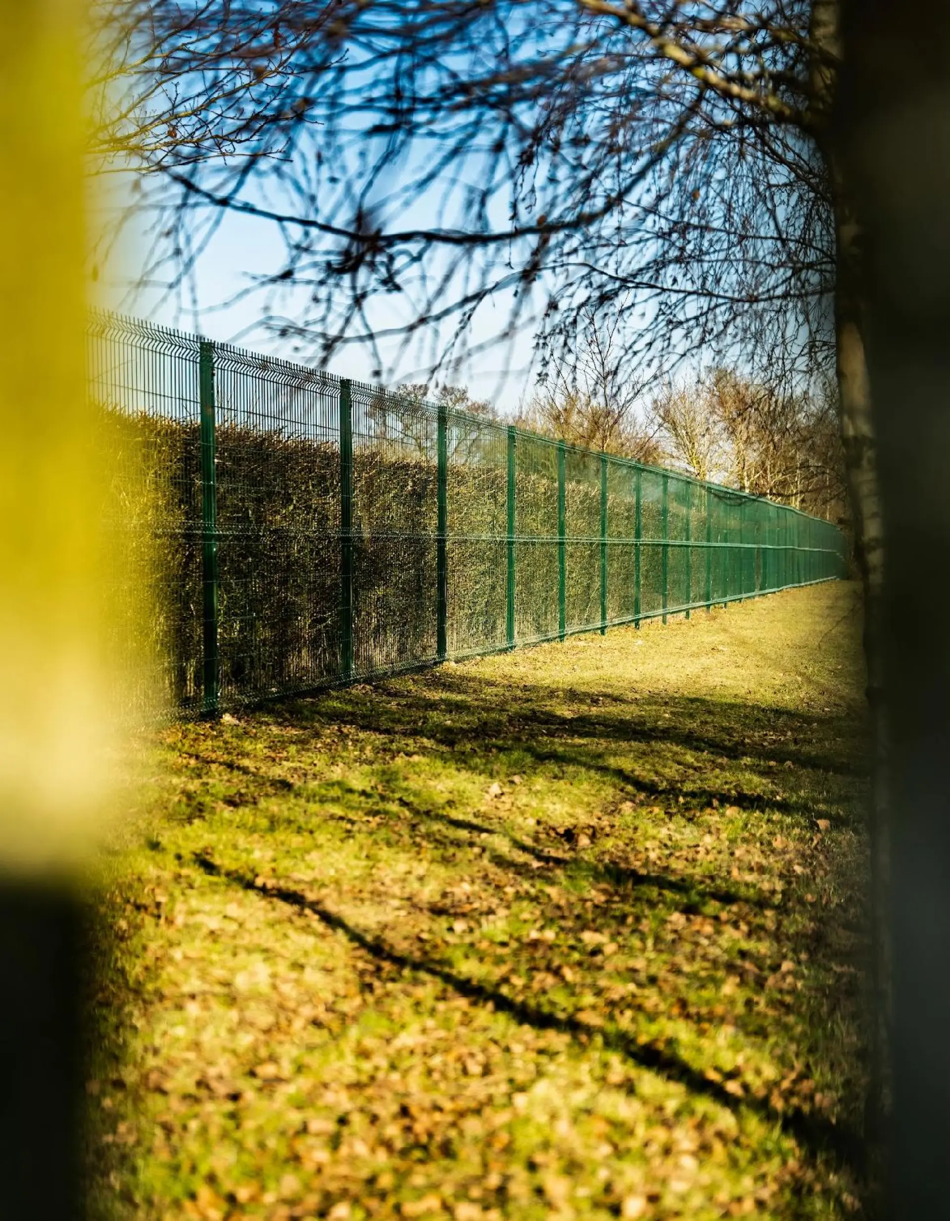 Fencing Specialist Romford, Brentwood, Essex